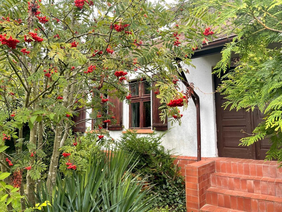 Apple Tree House Lubin (West Pomeranian) Exterior foto