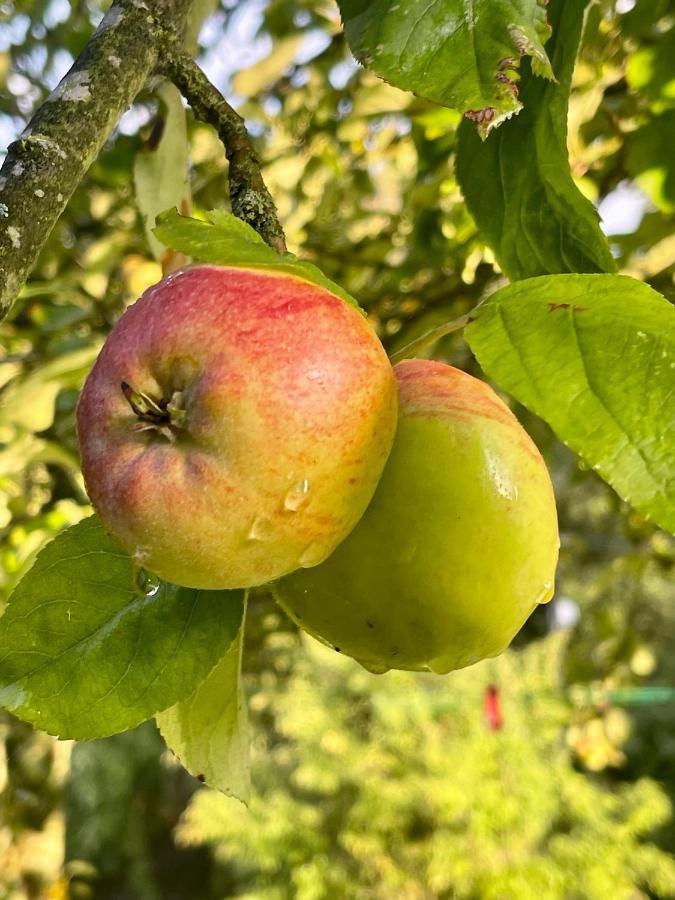 Apple Tree House Lubin (West Pomeranian) Exterior foto