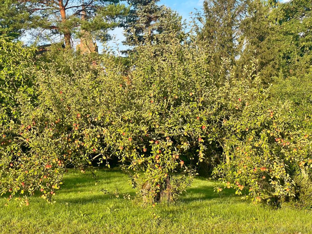 Apple Tree House Lubin (West Pomeranian) Exterior foto